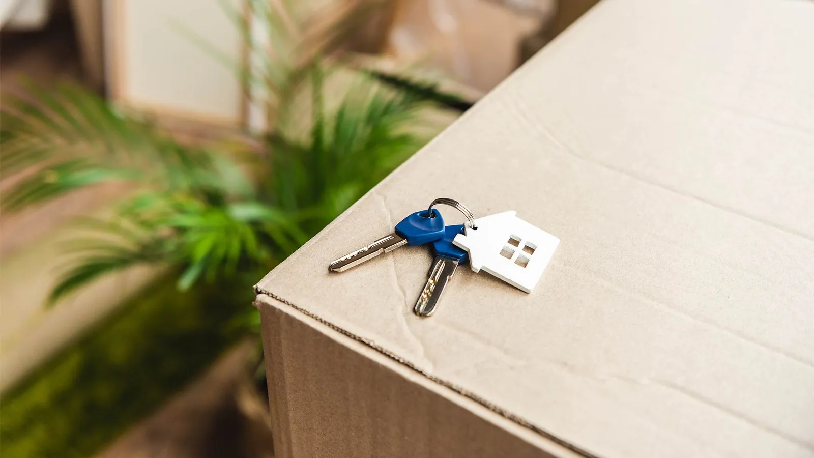 A set of house keys with a small house-shaped keyring resting on a cardboard moving box
