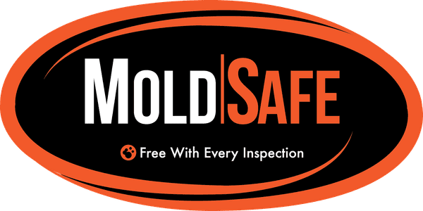 MoldSafe programme logo